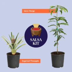 Salsa Kit -Geen Shop BB SalsaKitGraphic