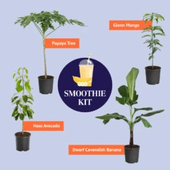 Smoothie Kit -Geen Shop BB SmoothieKitGraphic