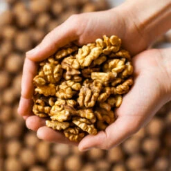 Chandler Walnut Tree 11 Chandler Walnut Tree -Geen Shop Chandler Walnut 2 BB