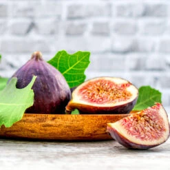 Chicago Hardy Fig Tree -Geen Shop Chicago Hardy Fig 4 BB