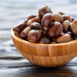 Chinese Chestnut Tree 13 Chinese Chestnut Tree -Geen Shop Chinese Chestnut 5 BB