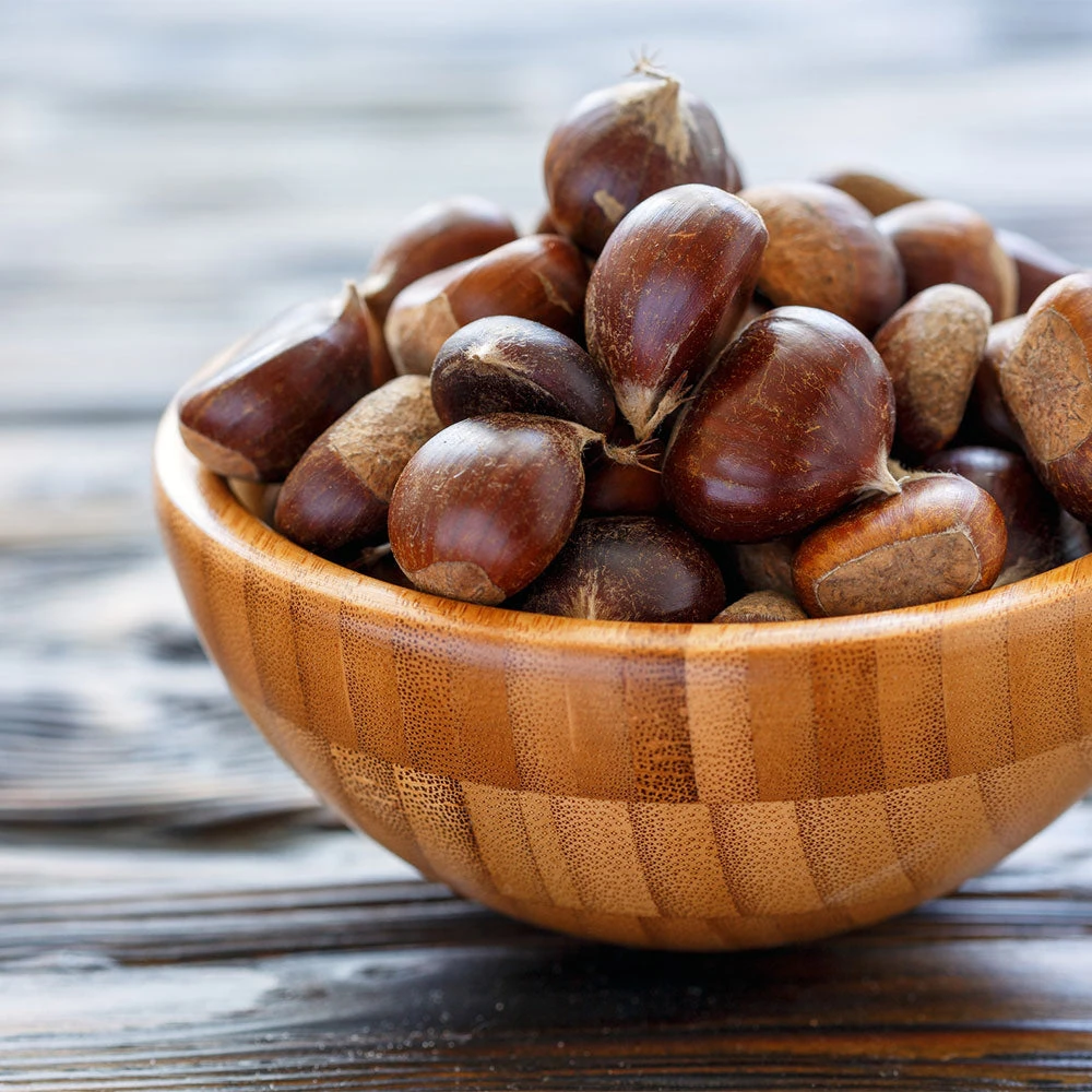 Chinese Chestnut Tree 8 Chinese Chestnut Tree - Image 6