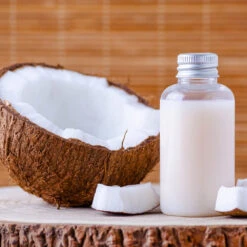 Coconut Palm Tree -Geen Shop Coconut Palm 8 B