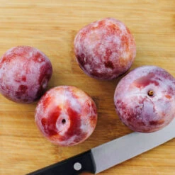 Dapple Dandy Pluot Tree -Geen Shop Dapple Dandy 2