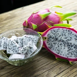 Dragon Fruit Cactus -Geen Shop Dragon Fruit Cactus 9 BB