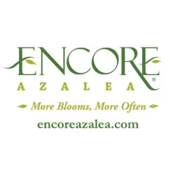 Autumn Debutante® Encore® Azalea Shrub 13 Autumn Debutante® Encore® Azalea Shrub -Geen Shop Encore Logo 1000x1000 1