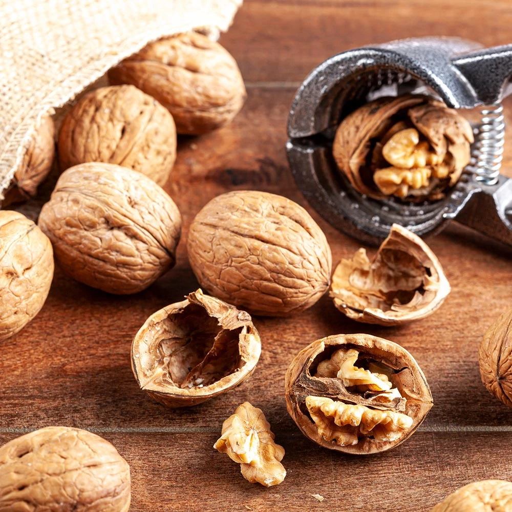 Carpathian English Walnut Tree 7 Carpathian English Walnut Tree - Image 5