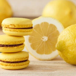 Eureka Lemon Tree -Geen Shop Eureka Lemon Tree 2 BB