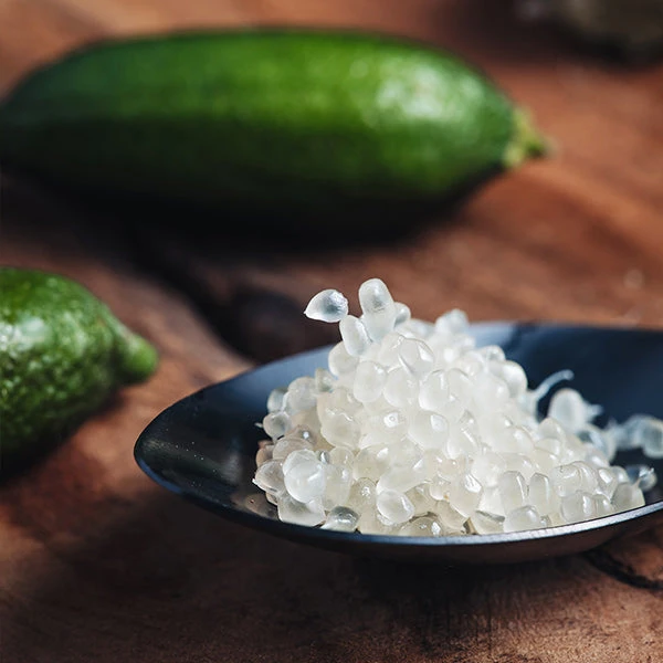 Australian Finger Lime Tree 3 Australian Finger Lime Tree