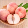 Indian Free White Peach Tree 1 Indian Free White Peach Tree -Geen Shop Indian Free Peach BB 600x600 aab5f603 1c23 4340 b017 388d5fcd4c0d