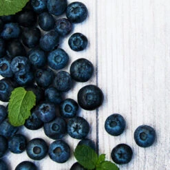 Jewel Blueberry Bush -Geen Shop Jewel Blueberry 2