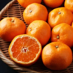 Kishu Mandarin Tree 10 Kishu Mandarin Tree -Geen Shop Kishu Mandarin Tree 3 BB