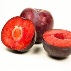Methley Plum Tree -Geen Shop Methley Plum 3