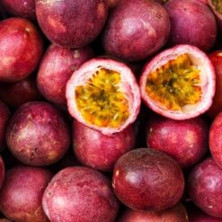 Nancy Garrison Passion Fruit Vine -Geen Shop Nancy Garrison Passion Fruit Vine 4 BB