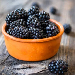 Navaho Blackberry 10 Navaho Blackberry -Geen Shop Navaho Blackberry 4 BB