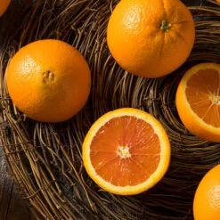 Navel Orange Tree 9 Navel Orange Tree -Geen Shop Navel Orange 3 BB 604a991f 7055 4201 9ddd 1e1e6b4d59fb