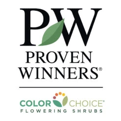 Bloomerang® Purple Reblooming Lilac Shrub 13 Bloomerang® Purple Reblooming Lilac Shrub -Geen Shop PW Logo CC 1000x1000 96b1db55 70f5 4f1e 9f16 326d3c05f70f