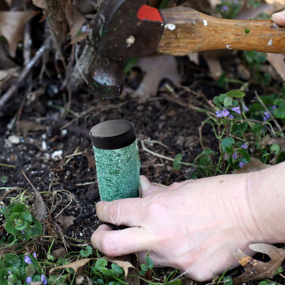 Palm Tree Fertilizer Spikes 6 Palm Tree Fertilizer Spikes - Image 4