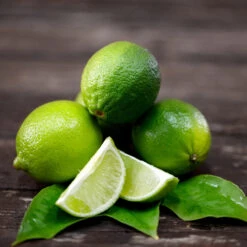 Persian 'Bearss' Lime Bush -Geen Shop Persian Lime Bush 2 BB