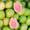 Tropical Pink Guava Tree -Geen Shop Pink Guava BB 600x600 17f94fe6 9909 40f5 8831 2357a10d6816