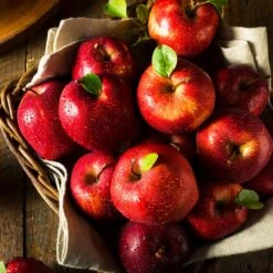 Apple Pollinator Pack 12 Apple Pollinator Pack -Geen Shop Red Delicious Apple 2