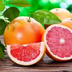 Ruby Red Grapefruit Tree 9 Ruby Red Grapefruit Tree -Geen Shop Ruby Red Grapefruit 2 BB
