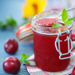 Santa Rosa Plum Tree -Geen Shop Santa Rosa Plum 4