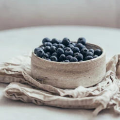 Sharpblue Blueberry Bush 7 Sharpblue Blueberry Bush -Geen Shop Sharpblue Blueberry 1