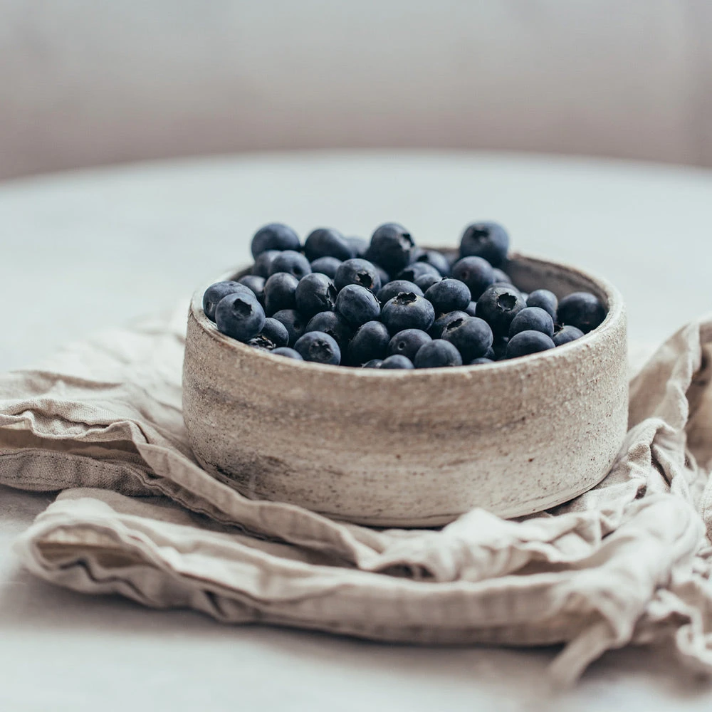 Sharpblue Blueberry Bush 5 Sharpblue Blueberry Bush - Image 3