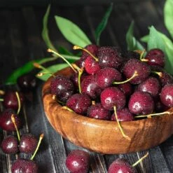 Skeena Cherry Tree -Geen Shop Skeena Cherry 3 BB