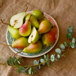 Summercrisp Pear Tree -Geen Shop Summercrisp Pear 1 BB