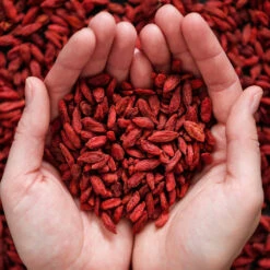 Healthy Superfoods Kit 13 Healthy Superfoods Kit -Geen Shop Superfoods 3