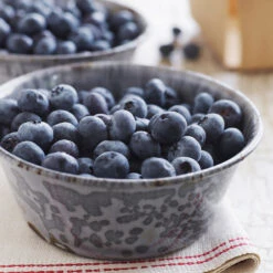 Sweetheart Blueberry Bush -Geen Shop Sweetheart BLueberry 4