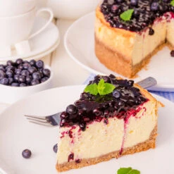 Sweetheart Blueberry Bush -Geen Shop Sweetheart BLueberry 5