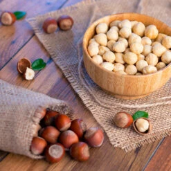 Theta Filbert Hazelnut Tree -Geen Shop THeta FIlbert Hazelnut 4