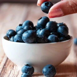 Top Hat Blueberry Bush -Geen Shop TopHat BLueberry 5 BB