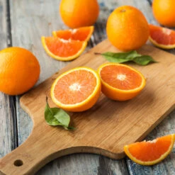 Valencia Orange Tree -Geen Shop Valencia Orange 2 BB