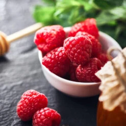 Willamette Red Raspberry Bush -Geen Shop Wiliamette Raspberry 1